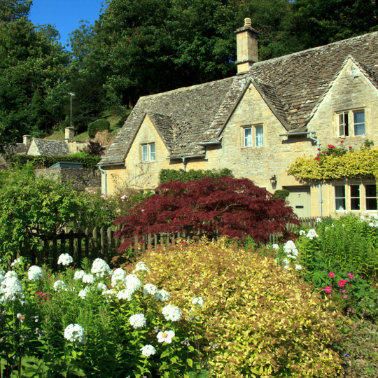 Literary Gardens with Susannah Fullerton